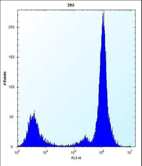 Polyclonal Rabbit anti-Human MOB1A Antibody (aa5-33, WB)