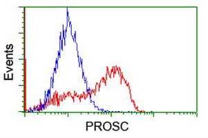 PROSC Antibody (clone OTI1G2)