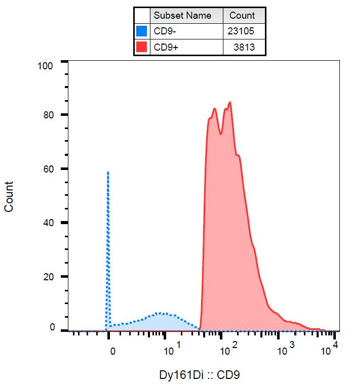 Monoclonal Mouse anti-Human CD9 Antibody (clone MEM-61, Extracellular Domain, IHC, WB)