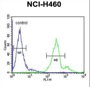 LAPTM5 Antibody (aa23-49)