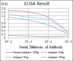 IHC-plus™ Monoclonal Mouse anti-Human CYP1A1 Antibody (clone 6G5, IHC, WB)
