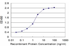 Monoclonal Mouse anti-Human SPTBN2 Antibody (clone 4D9, WB)