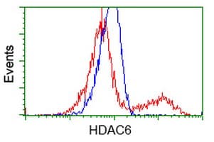 HDAC6 Antibody (clone OTI1D11, Carrier-free)