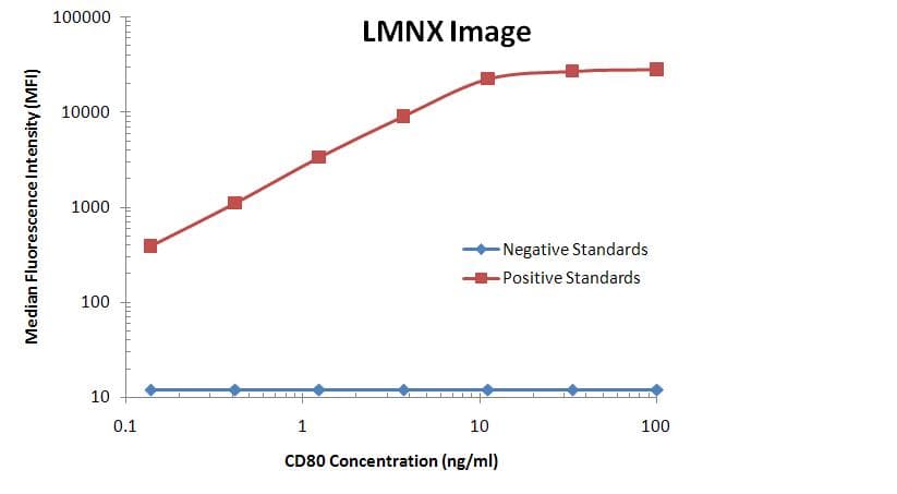 CD80 Antibody (clone OTI11G5)