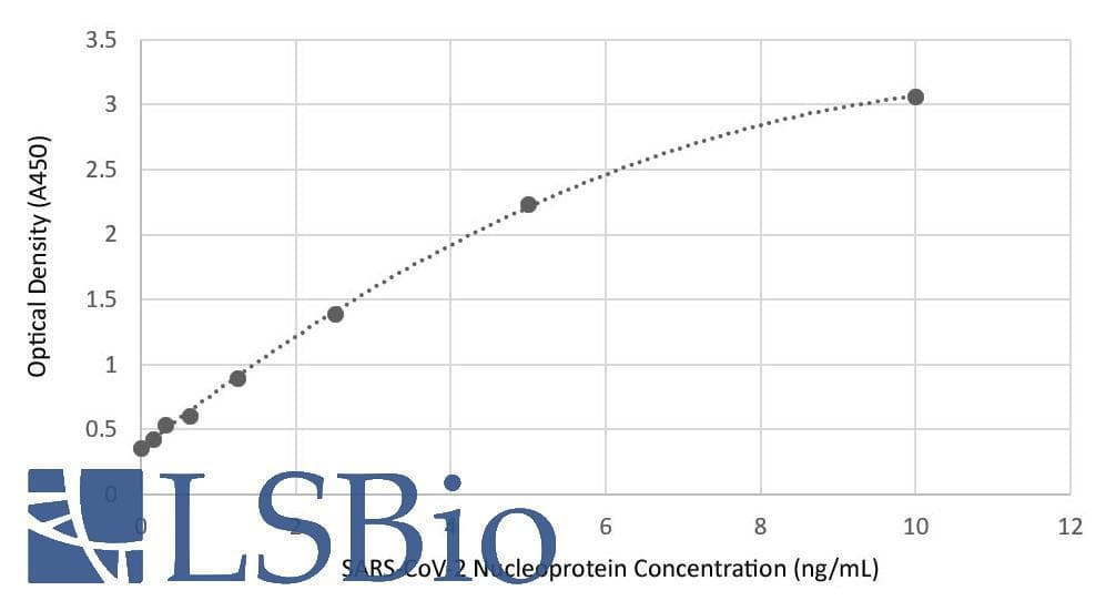 SARS-CoV-2 Nucleoprotein Antibody