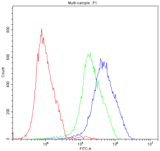 ATF2 Antibody (aa93-450)