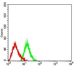PLXNC1 / Plexin C1 Antibody (clone 2H11C11)