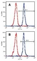 Monoclonal Mouse anti-Human LAT Antibody (clone LAT-01, WB)