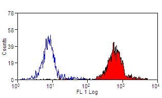CD45 / LCA Antibody (clone 1.11.32, FITC)