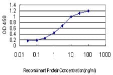 CD30 Antibody (clone 3B9)