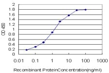 Monoclonal Mouse anti-Human CELSR3 Antibody (clone 2F7, WB)