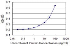 IHC-plus™ PDE9A Antibody (clone 1E1)