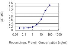 Monoclonal Mouse anti-Human MYH3 Antibody (clone 3H3, WB)