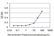 GABPA / NRF2 Antibody (clone 5C8)