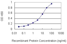 HOXC6 Antibody (clone 2A4)