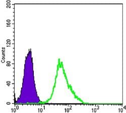 MAP2K2 / MKK2 / MEK2 Antibody (clone 7F5)