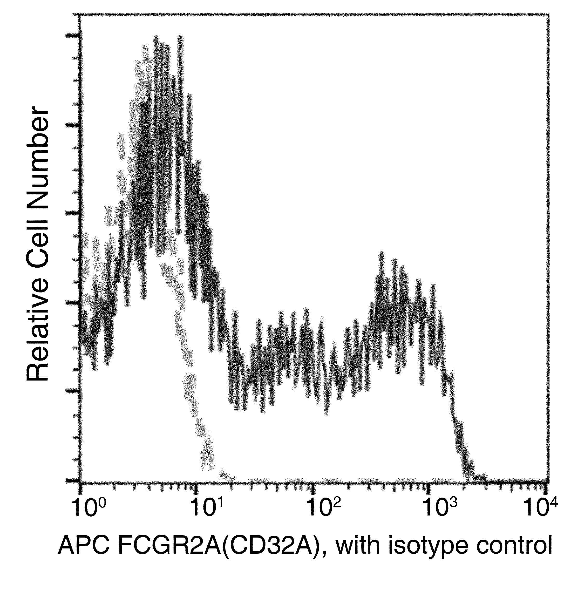 CD32A Antibody (clone 043, APC)