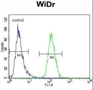 PIK3R5 Antibody (aa763-792)