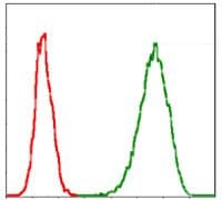 MCM2 Antibody (clone 10000000)