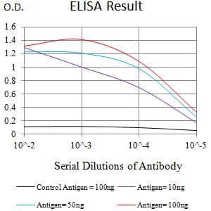 CHRM5 / M5 Antibody (clone 5G3H8)