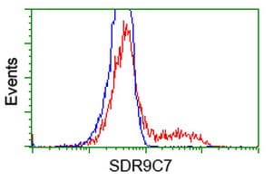 SDR9C7 Antibody (clone OTI12A11, Carrier-free)