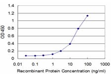 MFAP4 Antibody (clone 3A5)