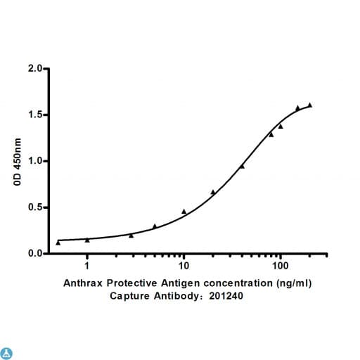 PA / Protective Antigen Antibody
