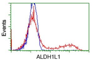 ALDH1L1 Antibody (clone OTI6A10)