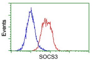 SOCS3 Antibody (clone OTI3D3)