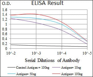 FOXC2 Antibody (aa21-210, clone 1D11C8)