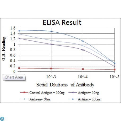 HIF1A / HIF1 Alpha Antibody