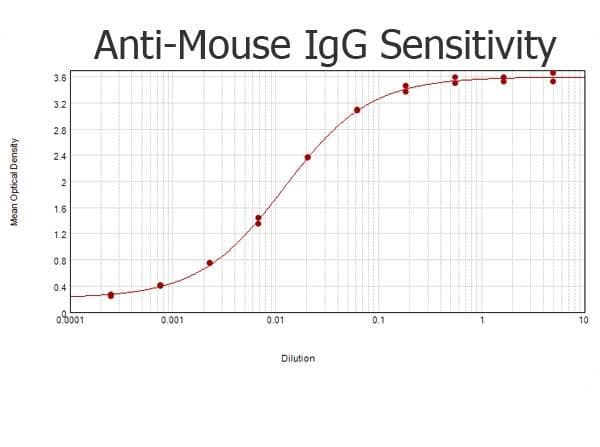Rabbit Anti-Mouse IgG Secondary Antibody