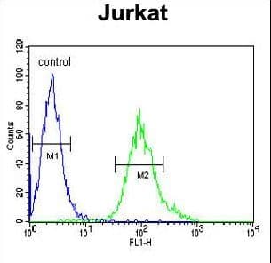 GNB1 Antibody (aa1-30)