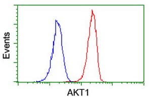AKT1 Antibody (clone OTI4D6)