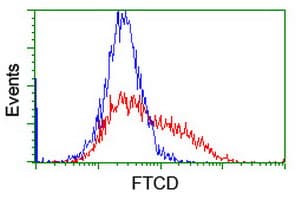 IHC-plus™ FTCD / 58K Golgi Protein Antibody (clone 7C5)