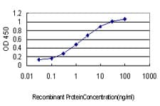 EMD / Emerin Antibody (clone 3B9)