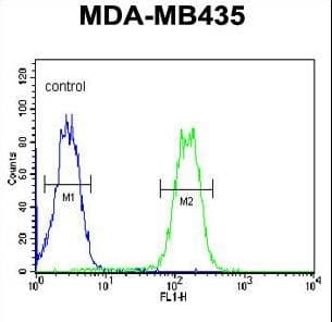 LYRM4 Antibody (aa43-69)