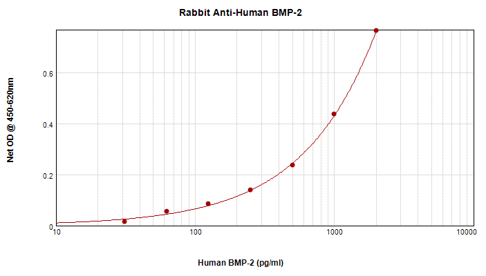 IHC-plus™ Polyclonal Rabbit anti-Human BMP2 Antibody (IHC, WB)