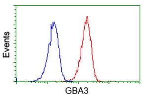 GBA3 / CBG Antibody (clone OTI5G3)
