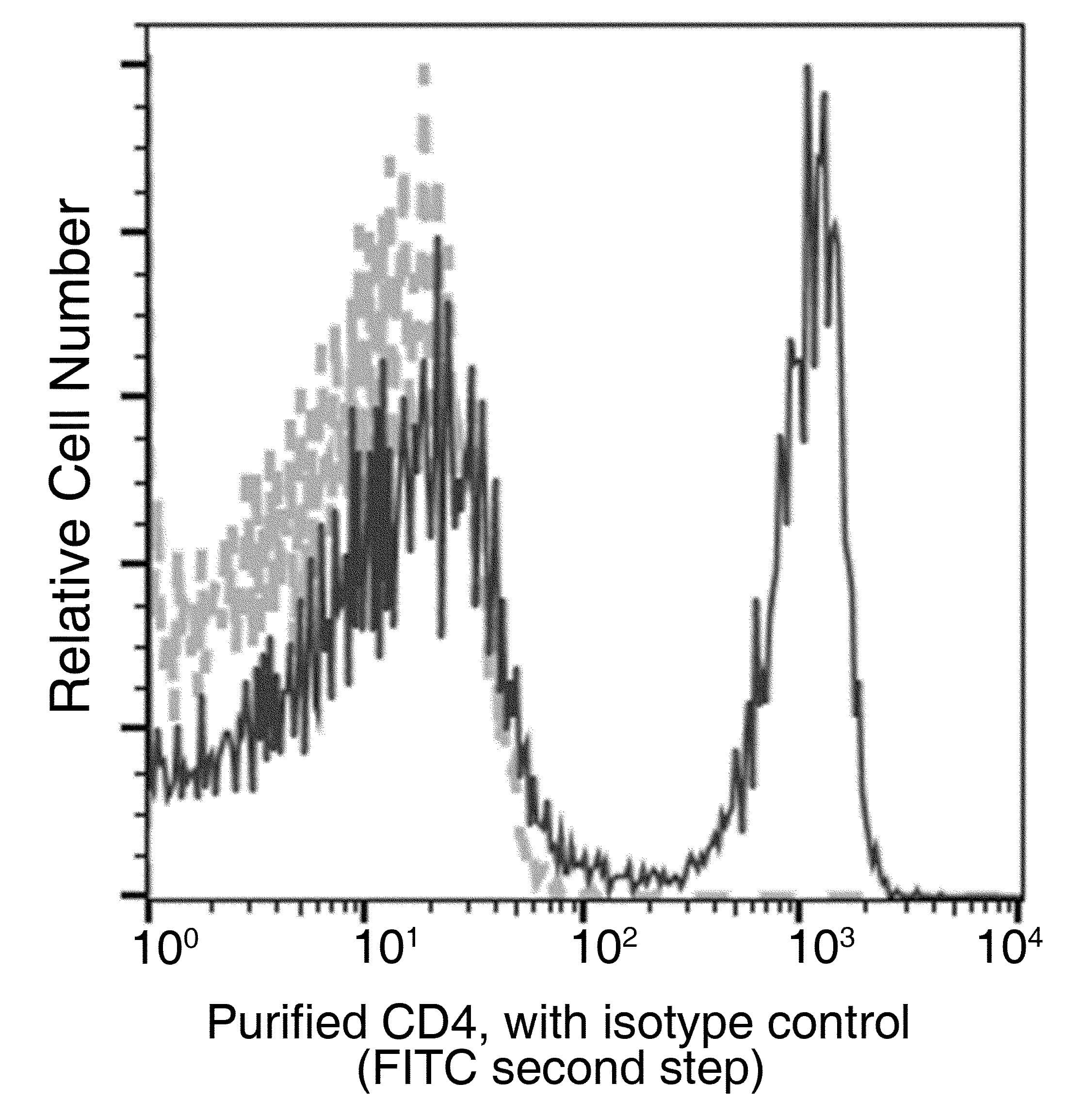 Monoclonal Rabbit anti-Mouse CD4 Antibody (clone 740, Preservative Free)