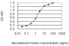 E2F3 Antibody (clone 5F7)