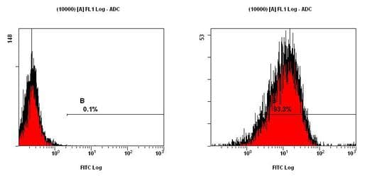 CCR2 Antibody (aa20-100, DY650)