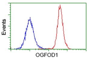 OGFOD1 Antibody (clone OTI1D9)