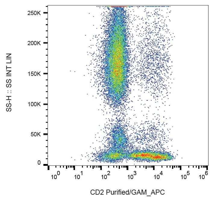 CD2 Antibody (clone MEM-65)
