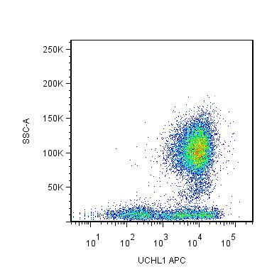 CD45RO Antibody (clone UCHL1, APC)