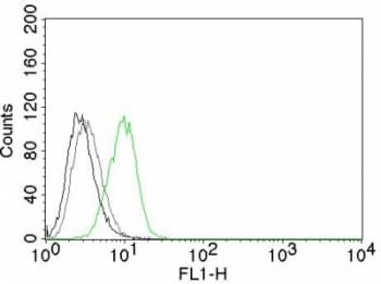 CDKN1B / p27 Kip1 Antibody (clone DCS-72.F6)