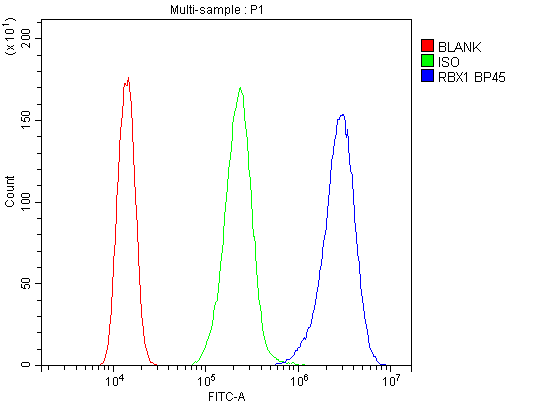 RBX1 / ROC1 Antibody (aa76-108)