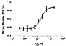 Human FGF3 Protein (Recombinant)