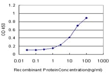 CRKL Antibody (clone 4B5)
