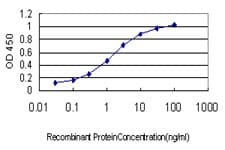 Monoclonal Mouse anti-Human MECOM / EVI1 Antibody (clone 6A9, WB)
